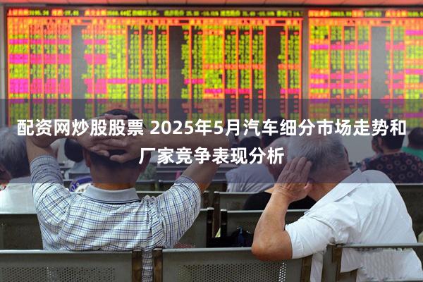 配资网炒股股票 2025年5月汽车细分市场走势和厂家竞争表现分析