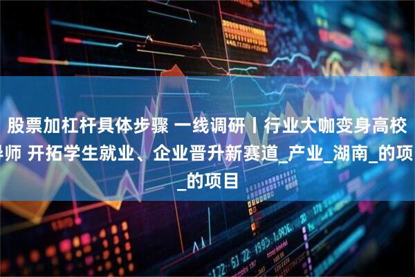 股票加杠杆具体步骤 一线调研丨行业大咖变身高校导师 开拓学生就业、企业晋升新赛道_产业_湖南_的项目