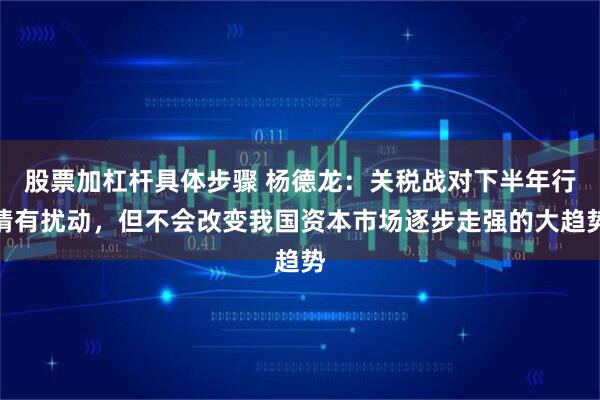 股票加杠杆具体步骤 杨德龙：关税战对下半年行情有扰动，但不会改变我国资本市场逐步走强的大趋势