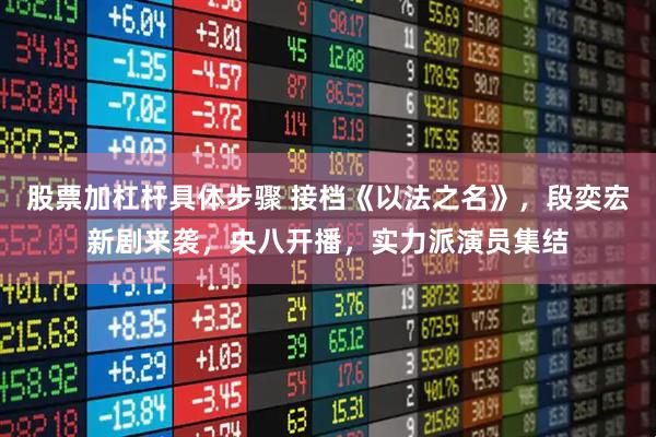 股票加杠杆具体步骤 接档《以法之名》，段奕宏新剧来袭，央八开播，实力派演员集结