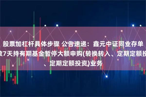 股票加杠杆具体步骤 公告速递：鑫元中证同业存单AAA指数7天持有期基金暂停大额申购(转换转入、定期定额投资)业务