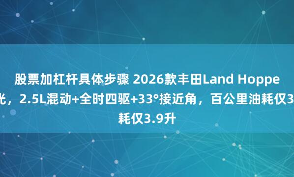 股票加杠杆具体步骤 2026款丰田Land Hopper曝光,2.5L混动+全时四驱+33°接近角,百公里油耗仅3.9升