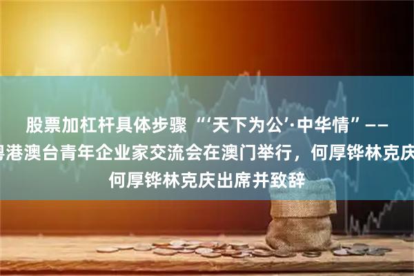 股票加杠杆具体步骤 “‘天下为公’·中华情”——（2025）粤港澳台青年企业家交流会在澳门举行，何厚铧林克庆出席并致辞