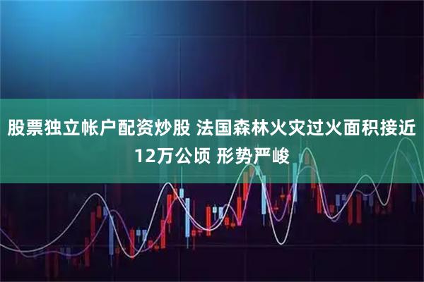 股票独立帐户配资炒股 法国森林火灾过火面积接近12万公顷 形势严峻