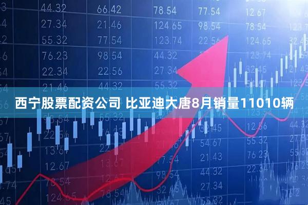 西宁股票配资公司 比亚迪大唐8月销量11010辆