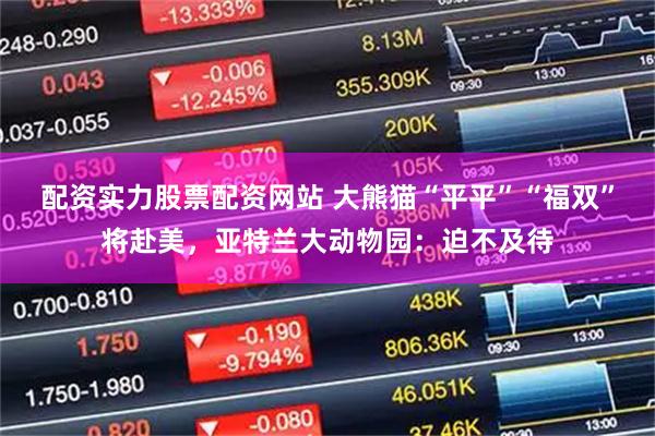 配资实力股票配资网站 大熊猫“平平”“福双”将赴美，亚特兰大动物园：迫不及待